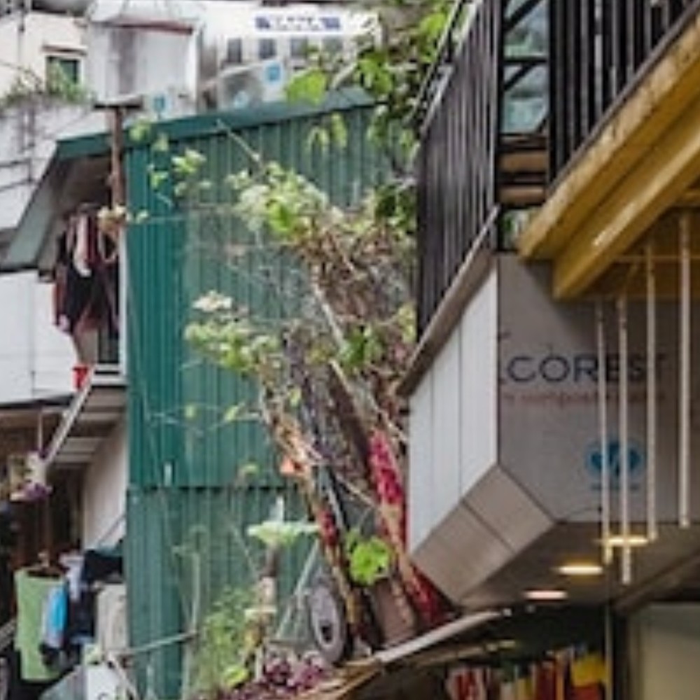 Meet your Posher, Elvira